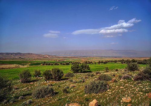 دشت کوار